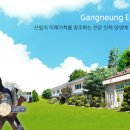 산림조합중앙회강릉교육원 | 산림의 미래가치를 창조할 인재 양성! 산림조합중앙회 강릉교육원 6월 교육과정 안내