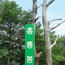 정기코스 이미지