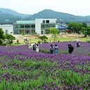 느티나무 농원