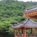 금빛유치원 네이버블로그
