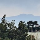 쉼터민박 이미지