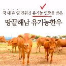 땅끝한우농장 이미지