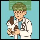 제이에스 동물병원 이미지