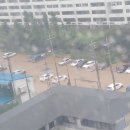오투아일랜드 이미지