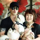 펫 스토리 이미지