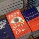 영미농장2 이미지