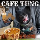 태안 애견동반카페 텅ㅣ누적판매량 13만잔 시그니처 피넛크림라떼