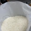 백진주 | 집밥 필수템 조선백진주 고급쌀 후기｜임산부가 선택한 밥맛 좋은 쌀