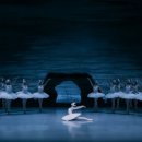 국립발레단 ’백조의 호수’ 이미지