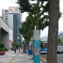 석전동 경남은행 본점 앞 네이버블로그