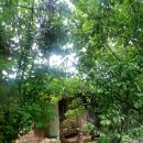 무월마을 이미지