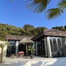 코스타리몬 이미지