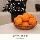 산하농장 | 제주 감귤 택배 임가네 귤농장 홍귤 제주귤 5KG 후기