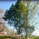 장충파출소 이미지