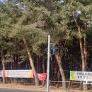 송정동 298-14 이미지