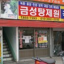 금성건재한약