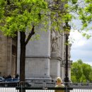 도시 강아지 이미지