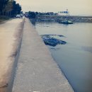 삽교천 낚시터 이미지