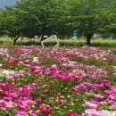 칠서-1 이미지