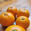 지운농장 이미지