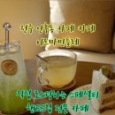 이르마민들레