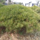 오포리농장 이미지