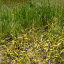 반구대 편백하우스 이미지