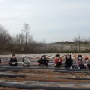 조림초등학교 이미지