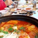 일출봉아로니아 이미지