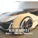 K9 풀체인지 정보 유출, 제네시스 대항마 등장