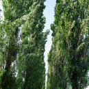 세븐일레븐 한강광나루1호점 | 강동 광나루 한강라면 위치 및 이용 가격 안내