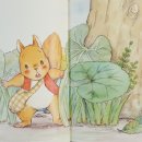 도토리서점 이미지