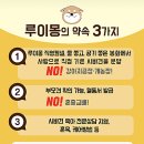 수원시바견 | 수원시바견 분양후기 시바견켄넬 관리 체계로 안심하세요