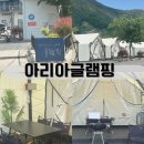 대구 근교 글램핑장 추천: 대구 근교 여행 ㅣ 경북 글램핑장 ㅣ 밀양 범도 아리아글램핑