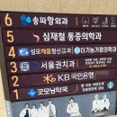 송파항외과의원 | 치루 수술 후기