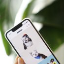 까비애견 이미지