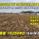 문란영공인중개사사무소 이미지