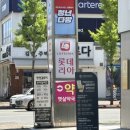 디니힐링프리미엄 | 광주 상무지구 자디니 헤드스파 프리미엄 헤드스파 후기