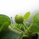 윤성농장 이미지