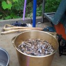 솔빛펜션 이미지