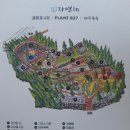 자연인힐링족욕