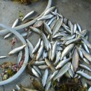 산북2리 이미지