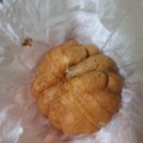 코코호도 이미지