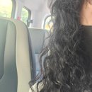 까꼬뽀꼬 이미지