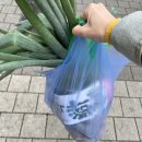 야채사냥