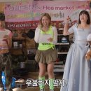 드리즐 이미지