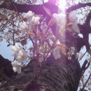 나드리민박 이미지