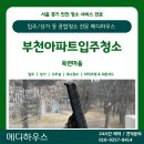 칠곡목련아파트 앞 | [부천입주청소] 목련마을 아파트 곰팡이 제거 및 꼼꼼한 클리닝 후기