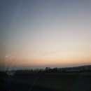 올리브샌드위치 이미지