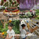 종원목장 | 가평 아이와 실내 가볼 만한 곳 베고니아새정원(할인방법, 주말이용팁)